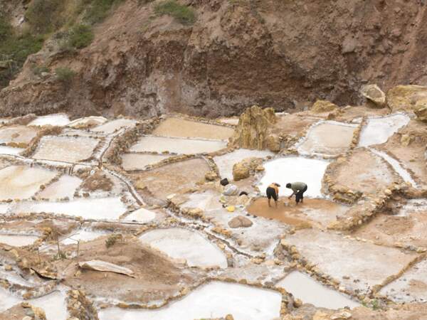 Travail éreintant de la récolte du sel, dans les salines de Maras, au Pérou