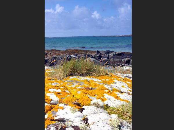 Une farandole de couleurs sur les côtes du Connemara, en Irlande