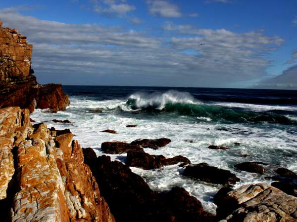 Cape Point, province du Cap-Occidental, Afrique du Sud