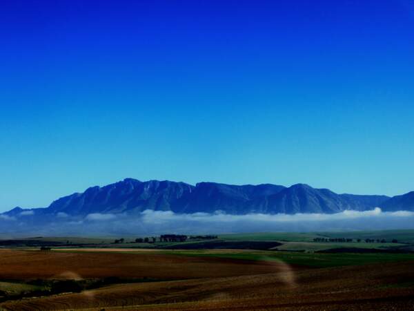 Sur la route de Stellenbosch, province du Cap-Occidental, Afrique du Sud