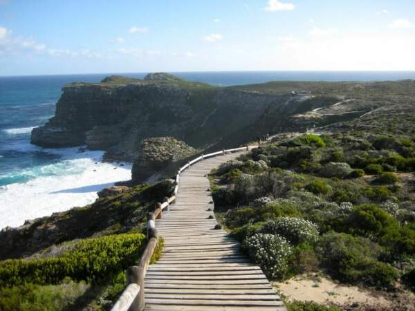 Promenade au bord de l’océan à la pointe du Cap, en Afrique du Sud.