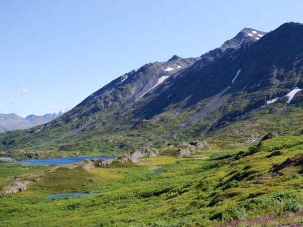 Montagne verdoyante en Alaska, aux Etats-Unis