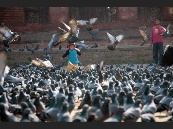 Des enfants courent après des pigeons dans le Durbar Square de Patan, au Népal.