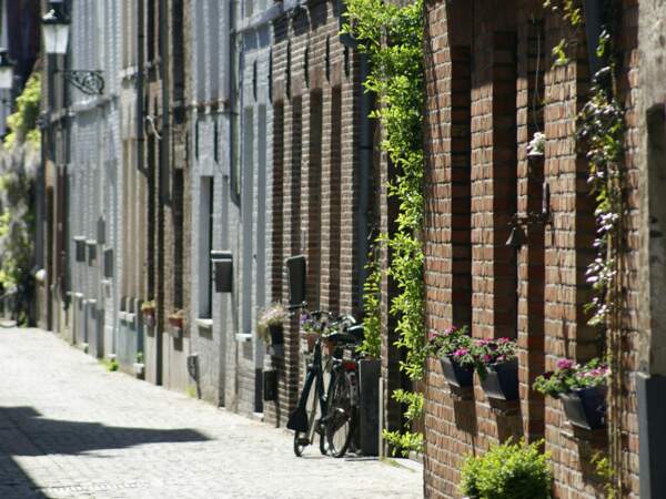 Au mois de mai, fleurissent les façades de cette ruelle de Bruges, en Belgique.