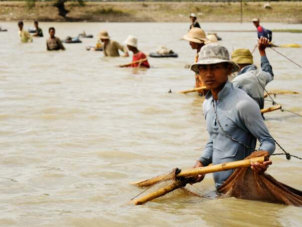 Pêche en cercle en Birmanie