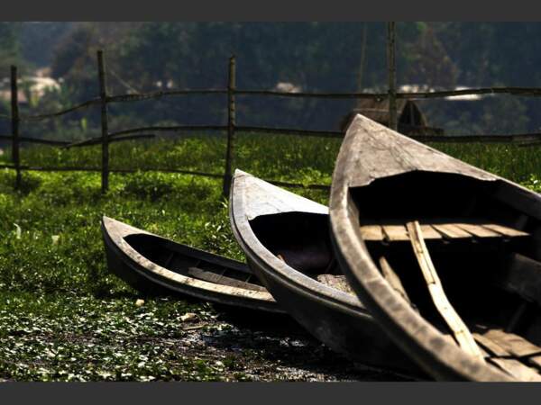 En Birmanie, les pêcheurs du peuple Intha utilisent de petits bateaux de bois pour se déplacer sur le lac Inle.