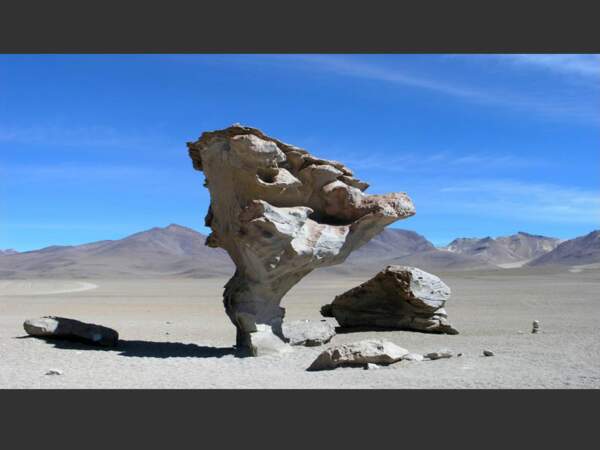 L'arbre de pierre du désert de Siloli, dans la province du Sud Lípez, en Bolivie.