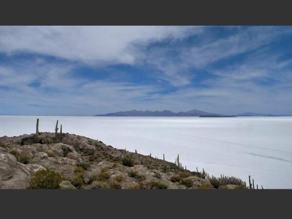 L'île de Pescado est située dans le salar d'Uyuni, en Bolivie.