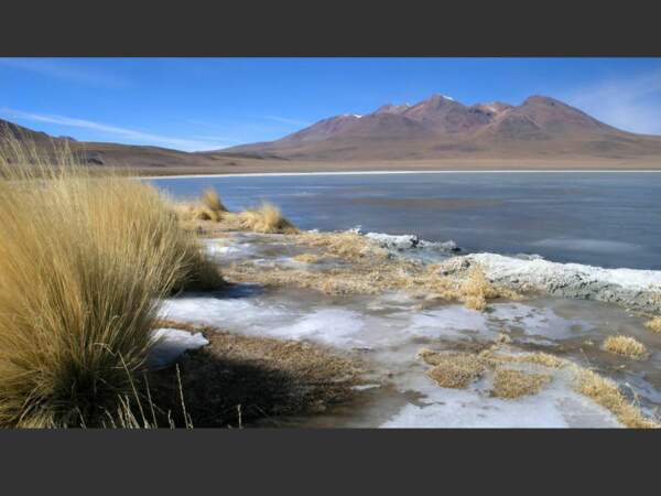 Au bord de cette lagune de la réserve Eduardo Abaroa, en Bolivie, la présence de glace met en évidence la température extérieure.