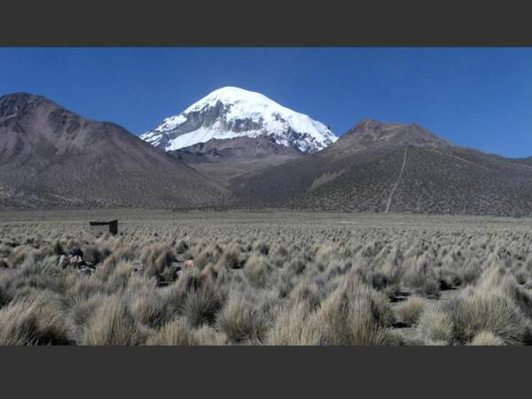 Le Nevado Sajama trône à 6 542 mètres d'altitude, en Bolivie.