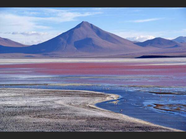 La lagune Colorada, en Bolivie