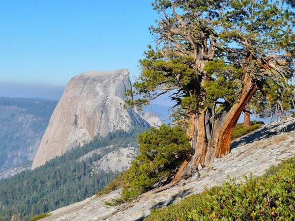 Paysage brumeux à cause du smog dans le parc Yosemite, Californie, Etats-Unis