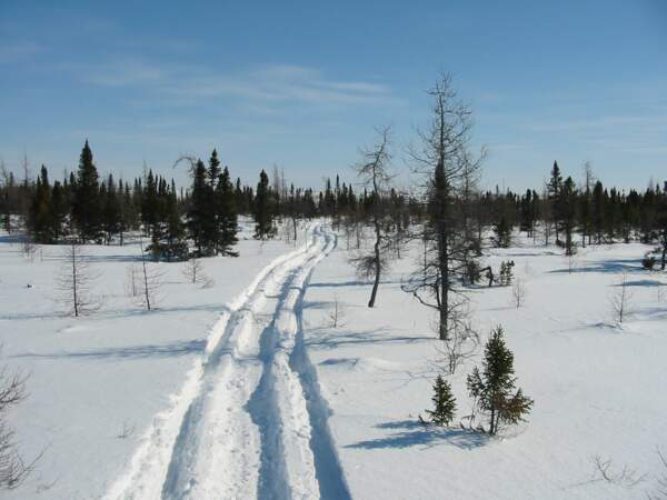 Trace unique dans la neige du Nunavik, au Québec