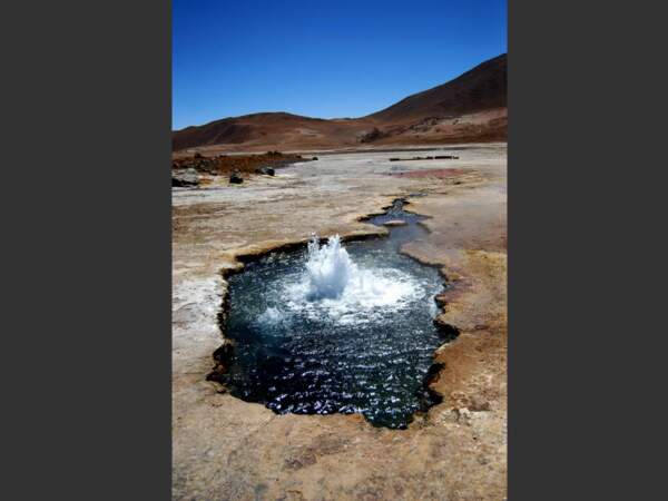 Les geysers d'El Tatio bouillonnent à plus de 4000 mètres d'altitude, au nord du Chili.