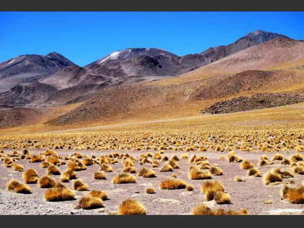 Paysage de haut plateau dans les environs d'El Tatio, au Chili.