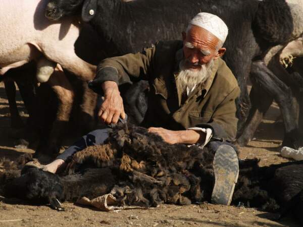 Le marché aux bestiaux de Kashgar, en Chine