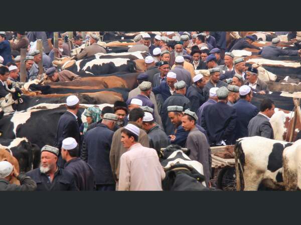 A la foire aux bestiaux de Kashgar, dans le Xinjiang, en Chine.