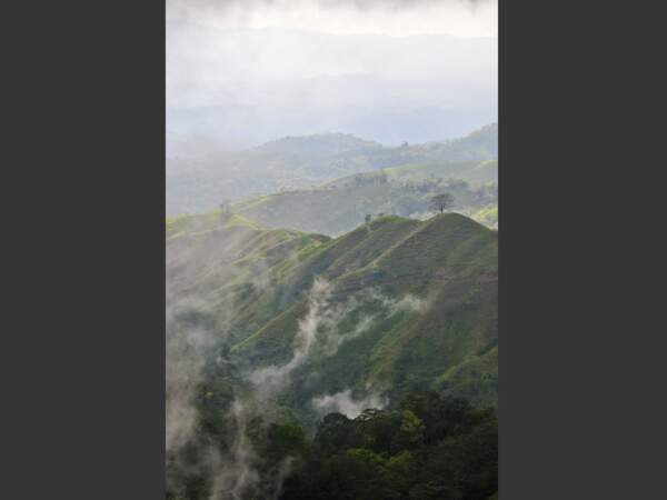 Paysage brumeux, entre les volcans Arenal et Turrialba, au Costa Rica