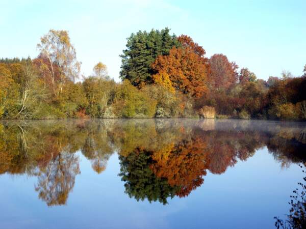 L’étang Neuf dans la commune de Dontreix, dans la Creuse, en France