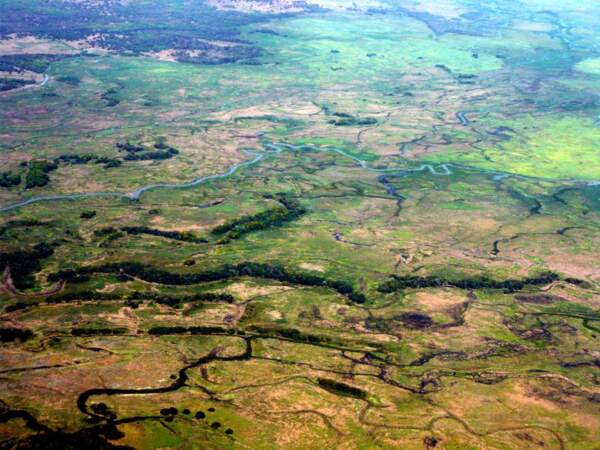 Le Pantanal vu du ciel, au Brésil