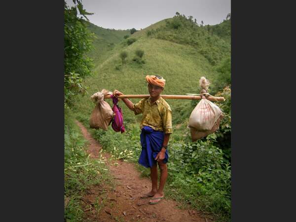 Porteur de cochon en Birmanie