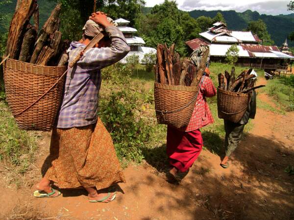 Ramassage du bois en Birmanie