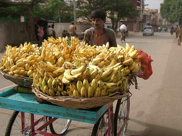 Vendeur de bananes en Inde, dans le Karnataka 