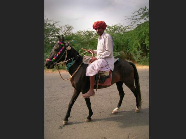 Homme à cheval au Rajasthan, en Inde