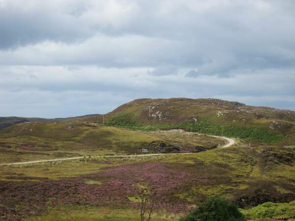 Les landes de bruyères à Fort William, dans les Highlands, en Ecosse, au Royaume-Uni