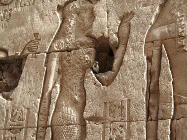 Le temple d’Horus à Edfou, en Egypte