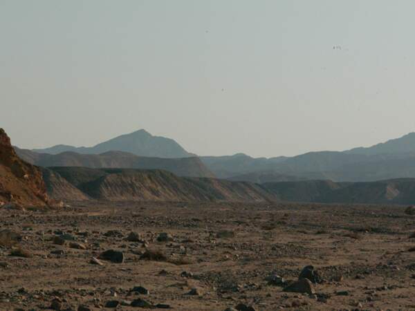 Excursion dans le désert vers Port Ghalib en Egypte