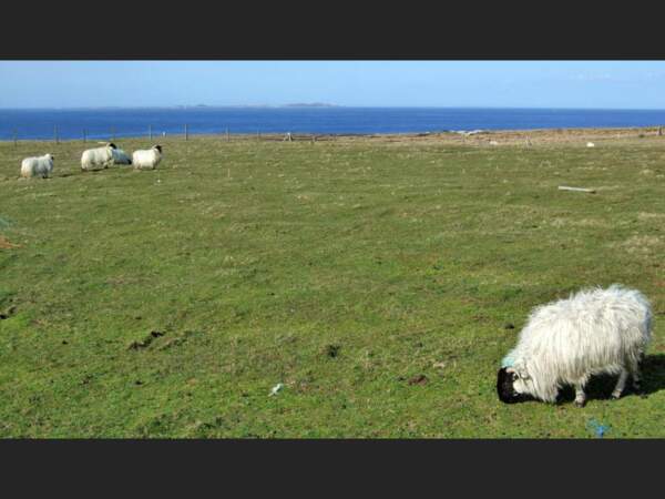 Côte des Rosses – Bloody Foreland, dans le Donegal