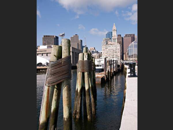 Les pieux en bois du port de Boston (Massachusetts, Etats-Unis). 