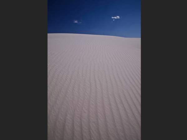 Le White Sands Desert au Nouveau-Mexique, aux Etats-Unis