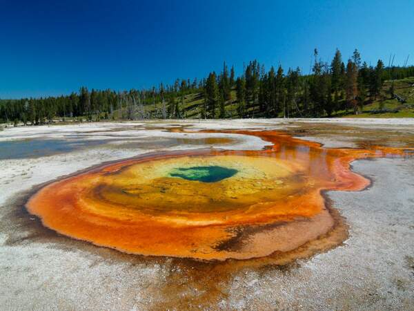 Dans le parc de Yellowstone, dans le Wyoming (Etats-Unis), la source chaude de Chromatic Spring possède des couleurs étonnantes.