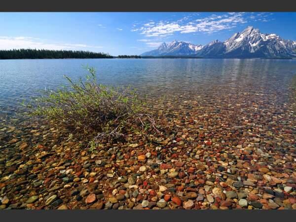 Située dans le Wyoming, aux Etats-Unis, le Jackson Lake du parc national de Grand Teton arbore un lit de galets mutlicolores.