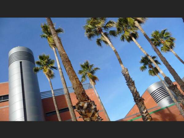 L'université d'Arizona (UA), fondée en 1885 et publique, accueille 40 000 étudiants sur un campus magnifique (Etats-Unis).