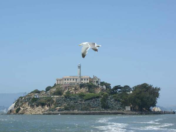 L’île d’Alcatraz, située au milieu de la baie de San Francisco, aux Etats-Unis.