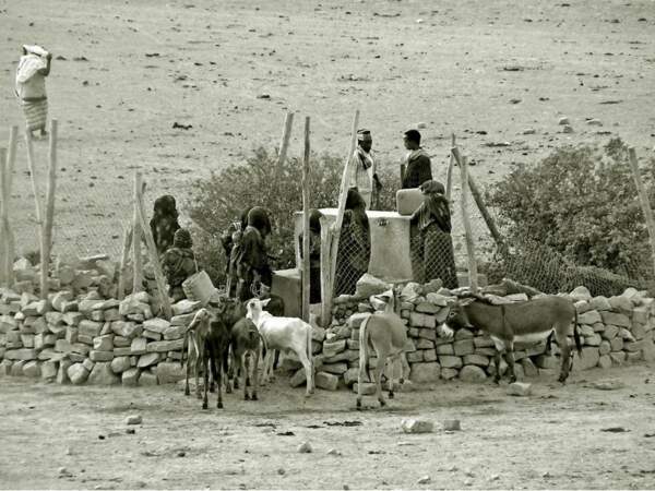 Autour d'un puits dans la région Afar, en Ethiopie