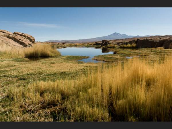 Une oasis dans la région du Sud Lípez, en Bolivie.