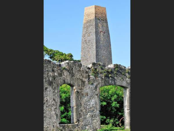 Les ruines d'une sucrerie, à Marie-Galante, en Guadeloupe.