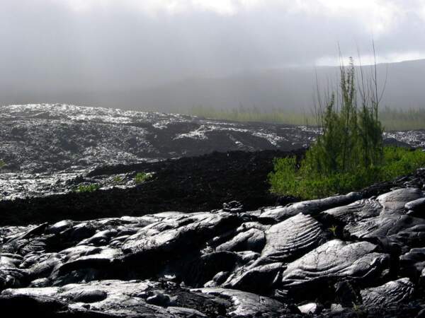 La coulée de lave de 2004 du piton de la Fournaise, sur l'île de la Réunion.