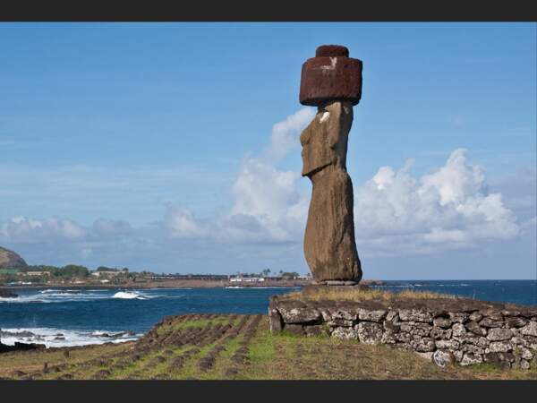 Ce moai porte un pukao, qui coiffe certaines statues colossales de l'île de Pâques (Chili).
