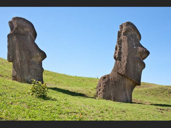 C'est dans cette carrière qu'étaient façonnés les moai de l'île de Pâques (Chili).