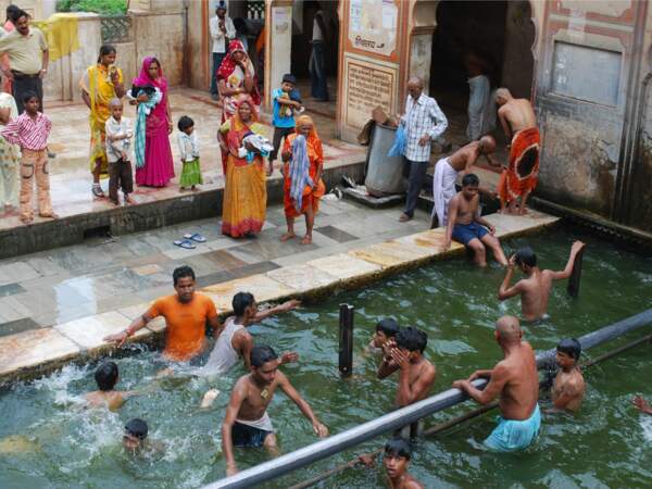 Des Indiens se baignent joyeusement dans une piscine, entre Bundi et Bassi, au Rajasthan (Inde).