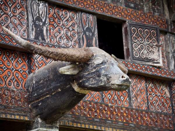Sculpture d’un buffle sur une maison traditionnelle sur l’île de Sulawesi, en Indonésie