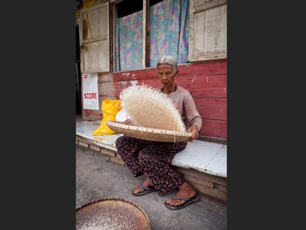 Tri du riz sur l’île de Sulawesi, en Indonésie
