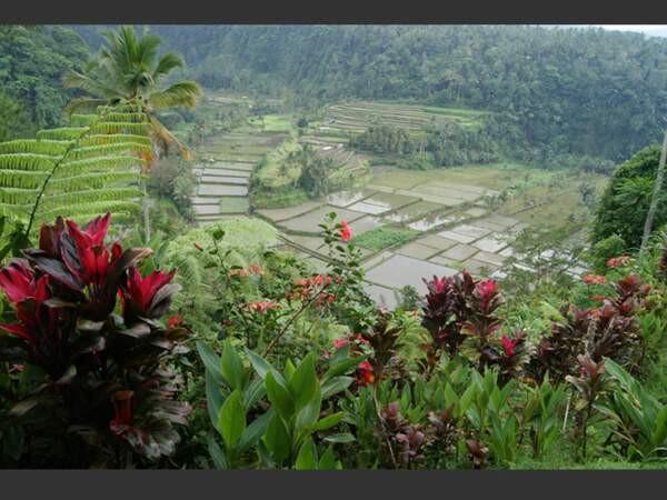 Les rizières au pied du volcan Gunung Agung à Bali, en Indonésie.