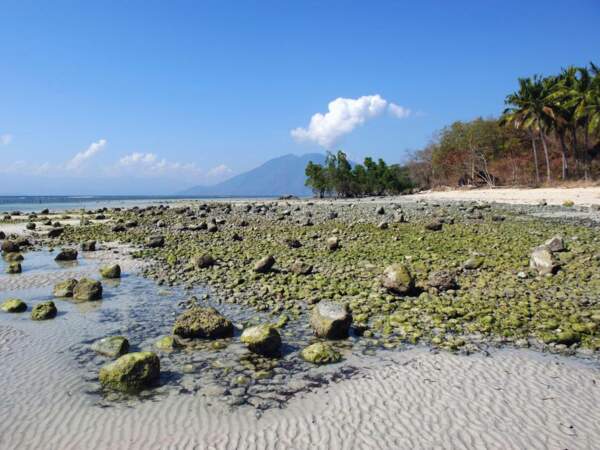 Une plage à marée basse, sur l'île de Pantar, dans les petites îles de la Sonde, sur l'archipel d'Alor, en Indonésie
