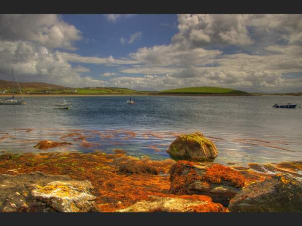 Bercées par les vagues, ces algues aux couleurs flamboyantes dansent entre les rochers, au pied du fort de Grace O’Malley, sur l’île d’Achill, en Irlande. 